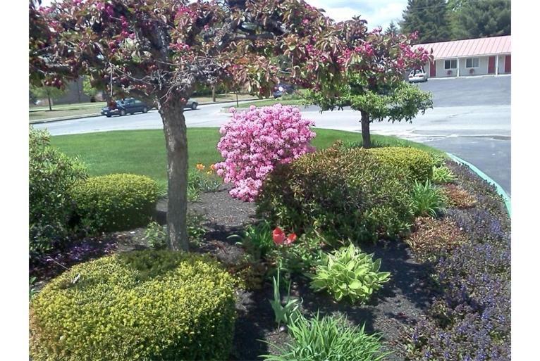 Belmont Motel Skowhegan Экстерьер фото